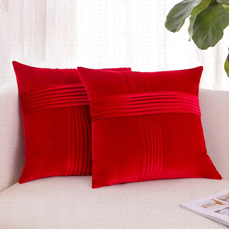 2 Pack Throw Pillow Covers  Sofa Decor Cushion Cases Velvet Premium Cushion