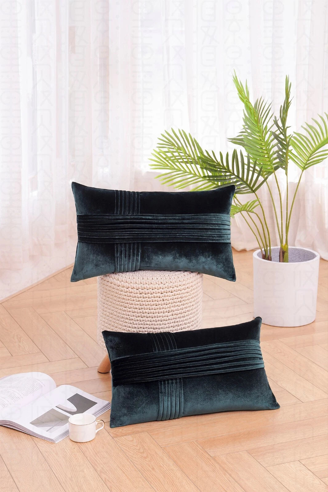 2 Pack Throw Pillow Covers  Sofa Decor Cushion Cases Velvet Premium Cushion