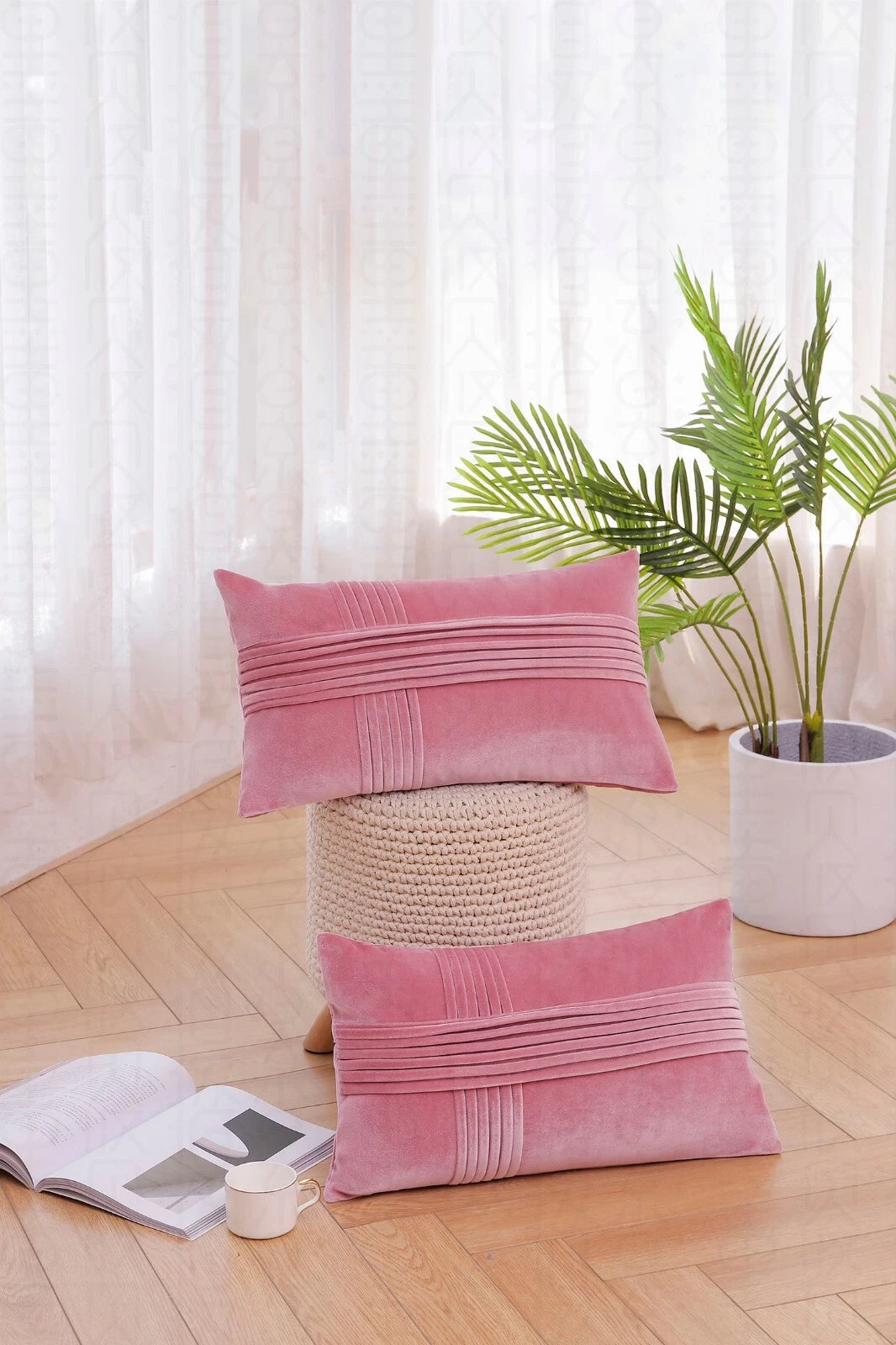 2 Pack Throw Pillow Covers  Sofa Decor Cushion Cases Velvet Premium Cushion