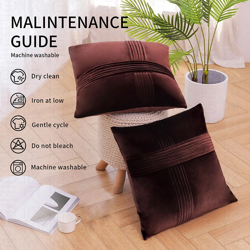 2 Pack Throw Pillow Covers  Sofa Decor Cushion Cases Velvet Premium Cushion