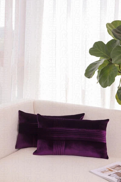 2 Pack Throw Pillow Covers  Sofa Decor Cushion Cases Velvet Premium Cushion