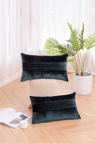2 Pack Throw Pillow Covers  Sofa Decor Cushion Cases Velvet Premium Cushion
