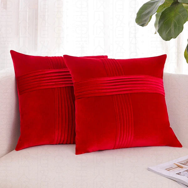 2 Pack Throw Pillow Covers  Sofa Decor Cushion Cases Velvet Premium Cushion