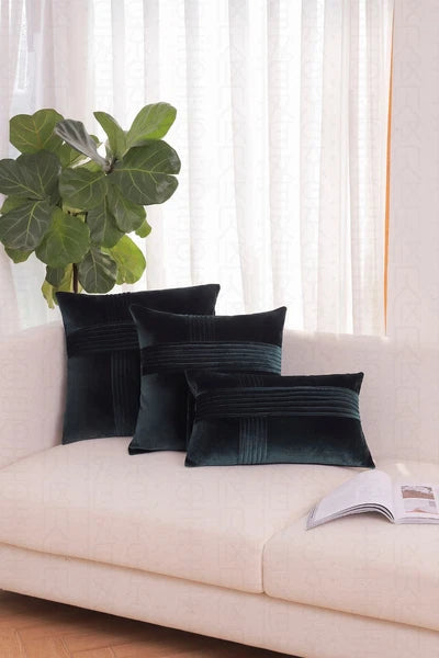 2 Pack Throw Pillow Covers  Sofa Decor Cushion Cases Velvet Premium Cushion