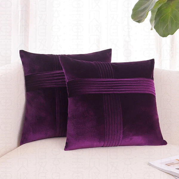 2 Pack Throw Pillow Covers  Sofa Decor Cushion Cases Velvet Premium Cushion