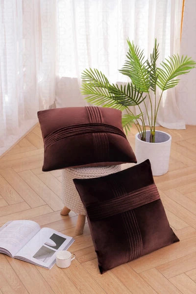 2 Pack Throw Pillow Covers  Sofa Decor Cushion Cases Velvet Premium Cushion