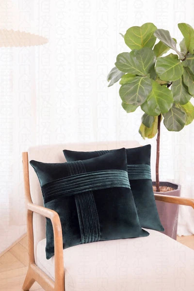 2 Pack Throw Pillow Covers  Sofa Decor Cushion Cases Velvet Premium Cushion