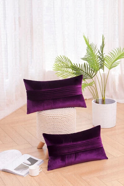 2 Pack Throw Pillow Covers  Sofa Decor Cushion Cases Velvet Premium Cushion