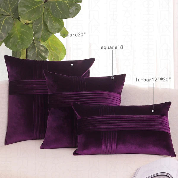2 Pack Throw Pillow Covers  Sofa Decor Cushion Cases Velvet Premium Cushion