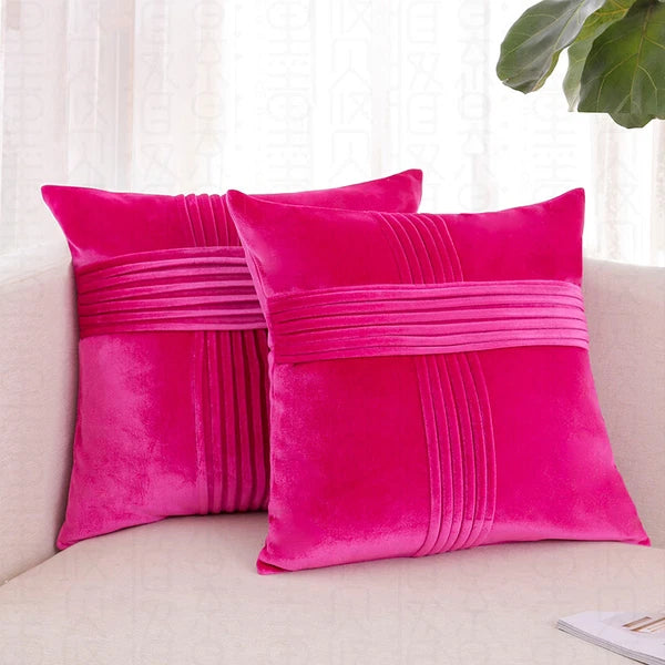 2 Pack Throw Pillow Covers  Sofa Decor Cushion Cases Velvet Premium Cushion