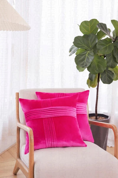 2 Pack Throw Pillow Covers  Sofa Decor Cushion Cases Velvet Premium Cushion