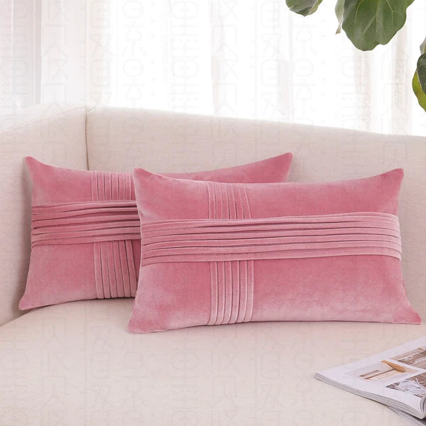 2 Pack Throw Pillow Covers  Sofa Decor Cushion Cases Velvet Premium Cushion