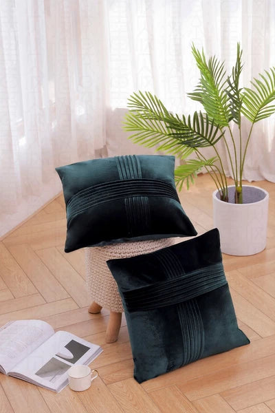 2 Pack Throw Pillow Covers  Sofa Decor Cushion Cases Velvet Premium Cushion