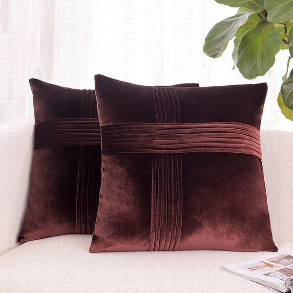2 Pack Throw Pillow Covers  Sofa Decor Cushion Cases Velvet Premium Cushion