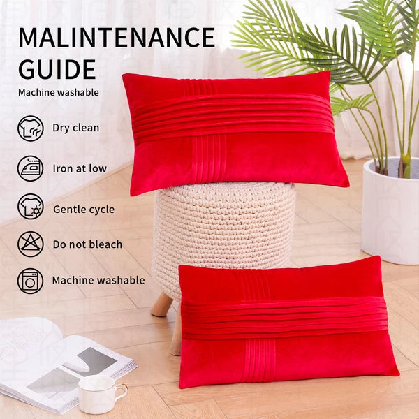 2 Pack Throw Pillow Covers  Sofa Decor Cushion Cases Velvet Premium Cushion