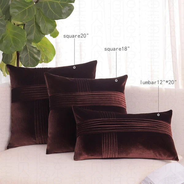 2 Pack Throw Pillow Covers  Sofa Decor Cushion Cases Velvet Premium Cushion