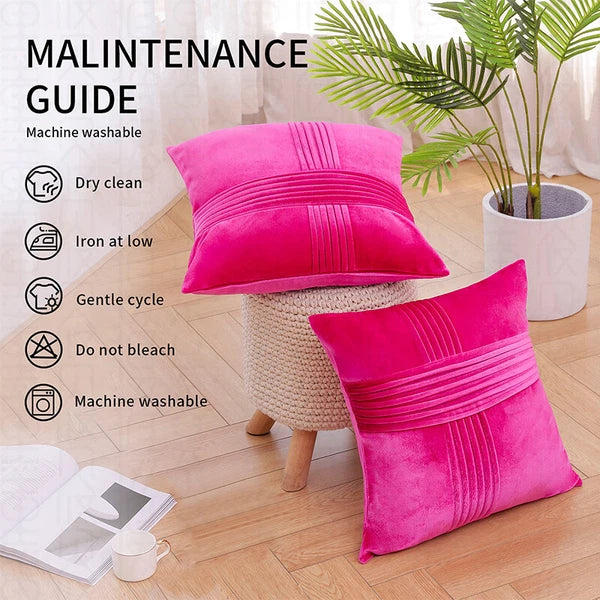 2 Pack Throw Pillow Covers  Sofa Decor Cushion Cases Velvet Premium Cushion