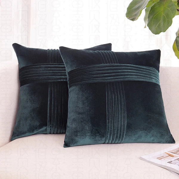 2 Pack Throw Pillow Covers  Sofa Decor Cushion Cases Velvet Premium Cushion