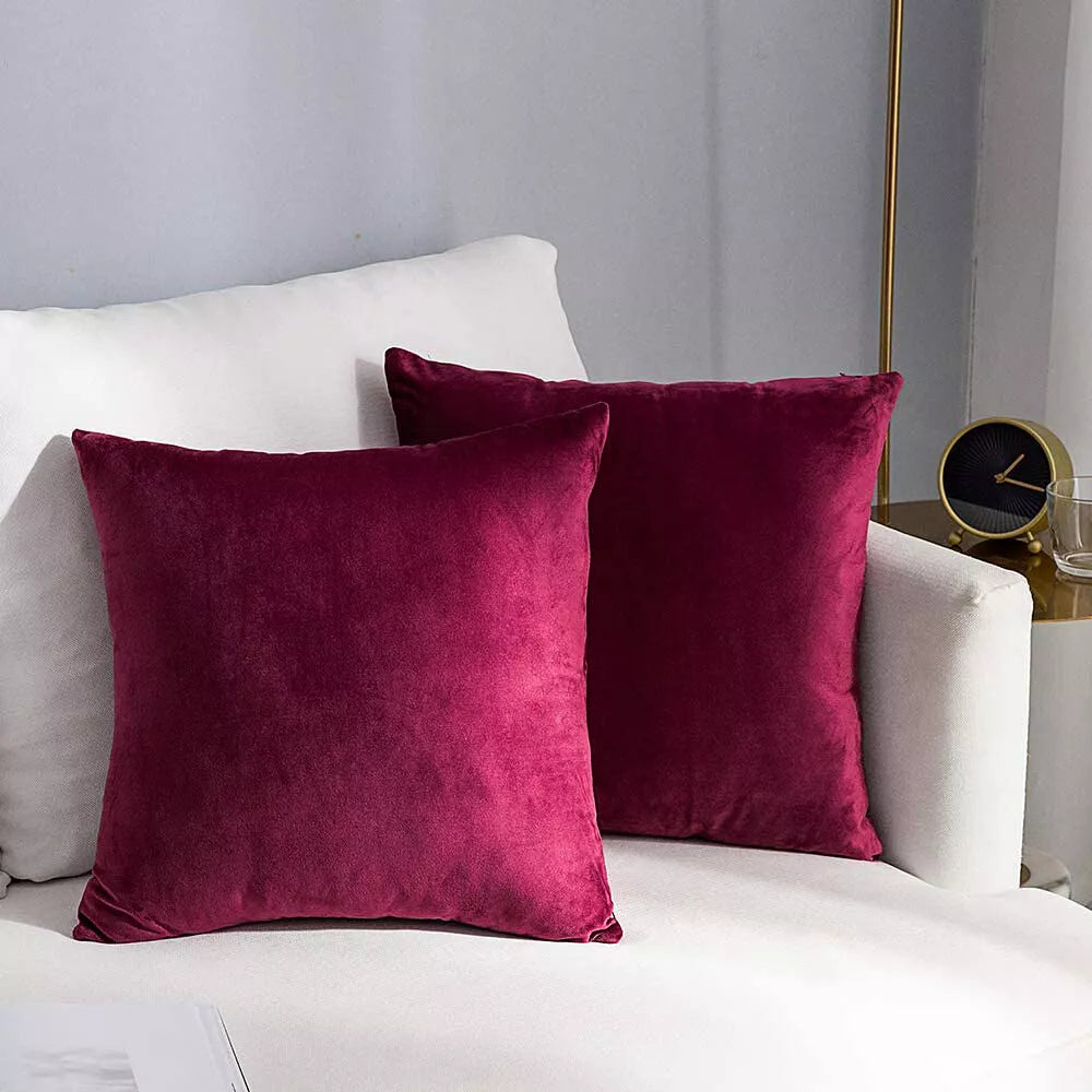 Velvet Soft Cushion Cover, 2 Pack Modern Decorative Throw Pillow Case 18"x18"