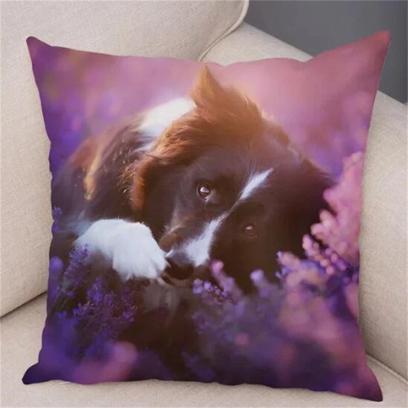 Short Plush Animal Cushion Cover Border Collie Pillowcase for Sofa Car Decor