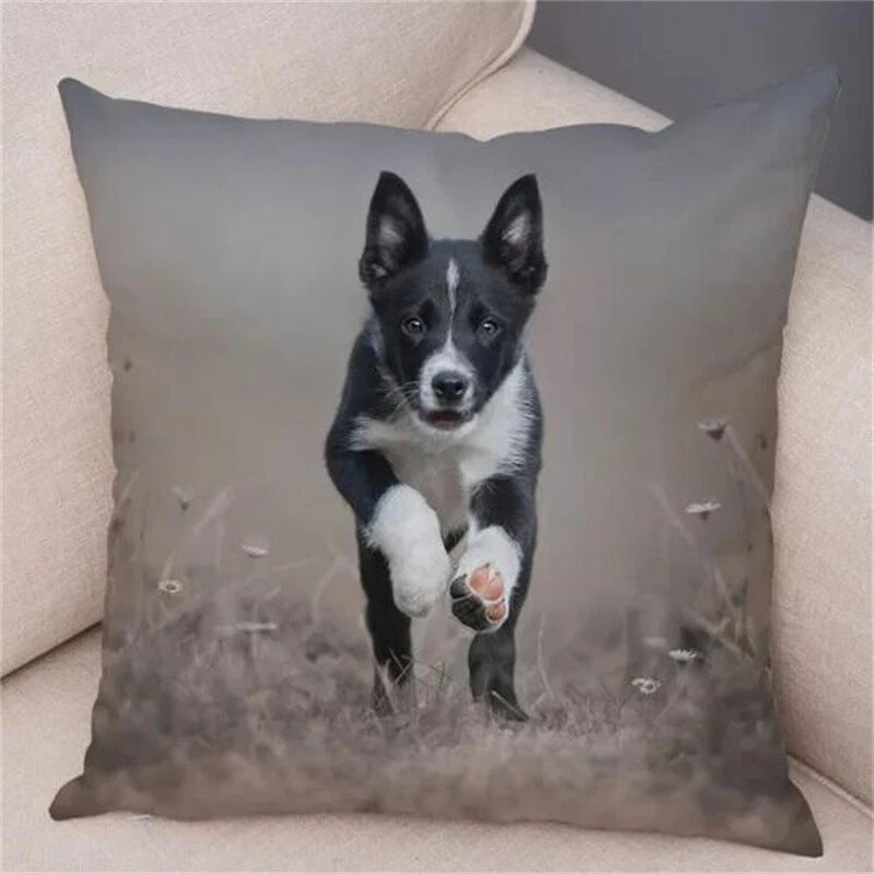 Short Plush Animal Cushion Cover Border Collie Pillowcase for Sofa Car Decor