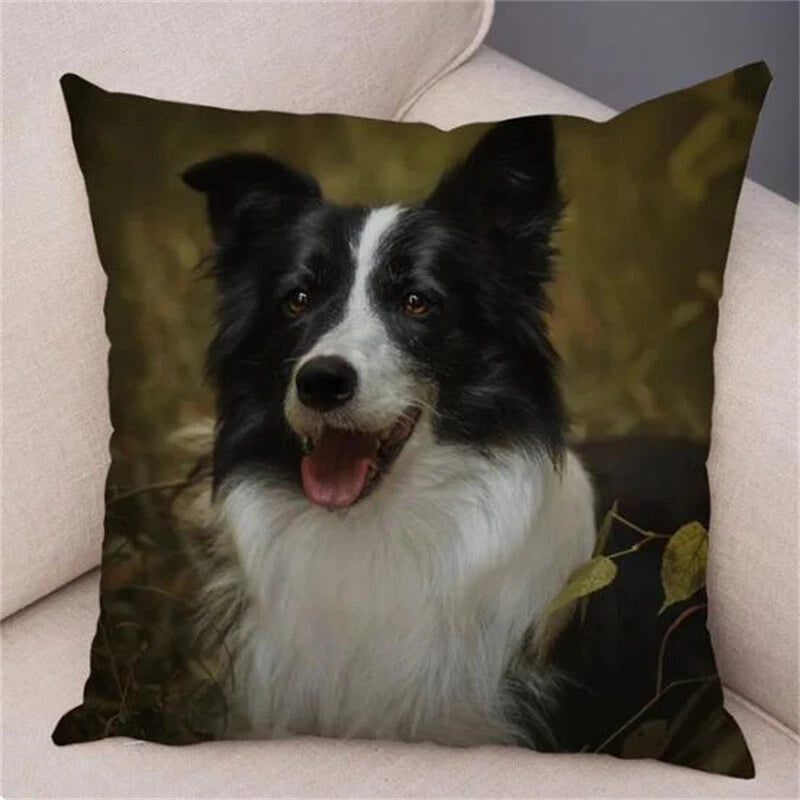 Cute Pet Animal Cushion Cover Border Collie for Sofa Decor Dog Print Pillow Case