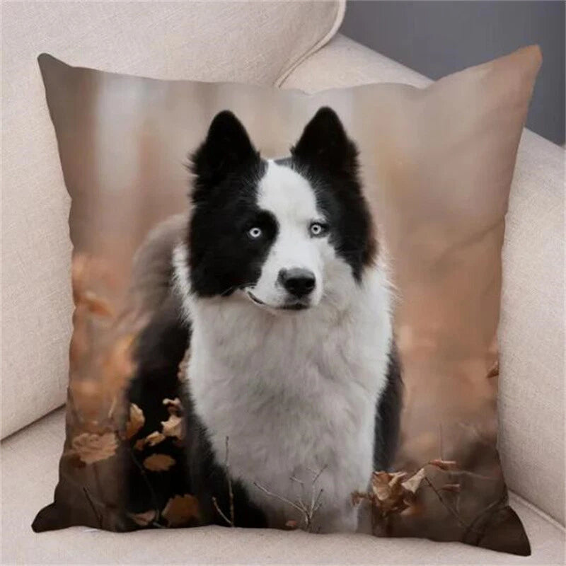 Short Plush Animal Cushion Cover Border Collie Pillowcase for Sofa Car Decor
