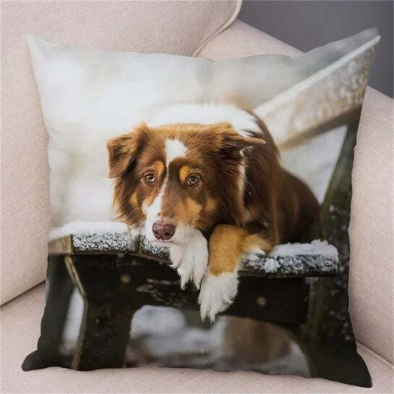 Cute Pet Animal Cushion Cover Border Collie for Sofa Decor Dog Print Pillow Case