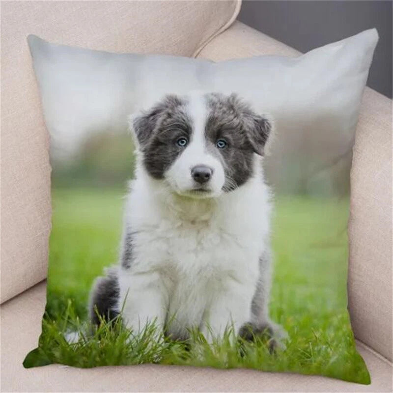 Cute Pet Animal Cushion Cover Collie for Sofa Car Decor Dog Print Pillow Case