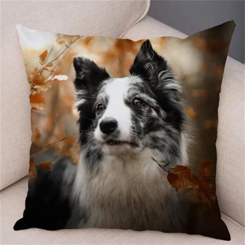 Cute Pet Animal Cushion Cover Collie for Sofa Car Decor Dog Print Pillow Case