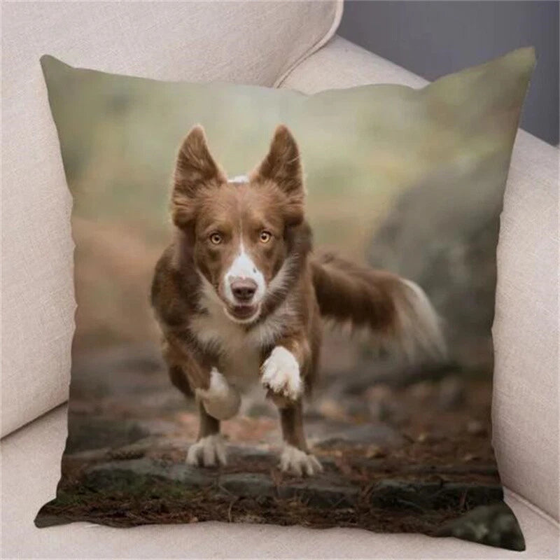 Short Plush Animal Cushion Cover Border Collie Pillowcase for Sofa Car Decor