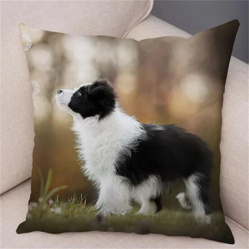 Cute Pet Animal Cushion Cover Collie for Sofa Car Decor Dog Print Pillow Case