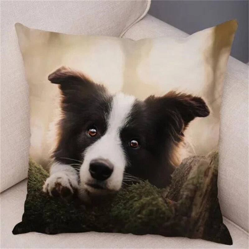 Cute Pet Animal Cushion Cover Border Collie for Sofa Decor Dog Print Pillow Case