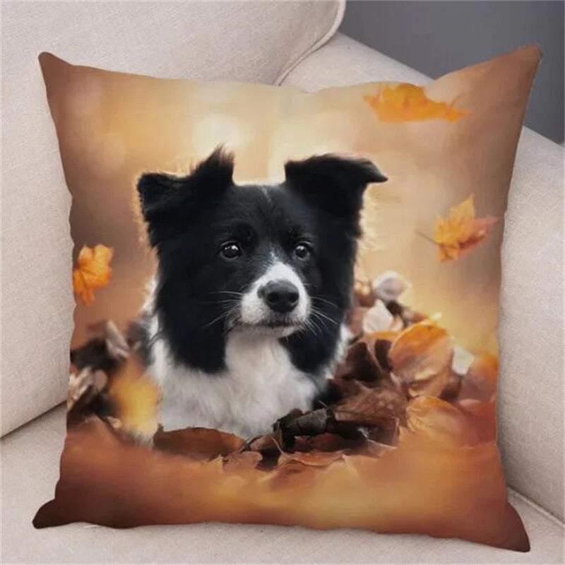 Short Plush Animal Cushion Cover Border Collie Pillowcase for Sofa Car Decor