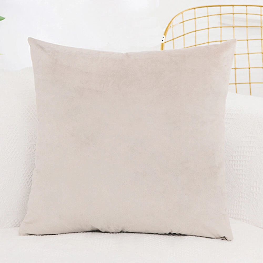 Throw Pillowcases Covers Velvet Cushion Case For Home Sofa Décor Set of 2