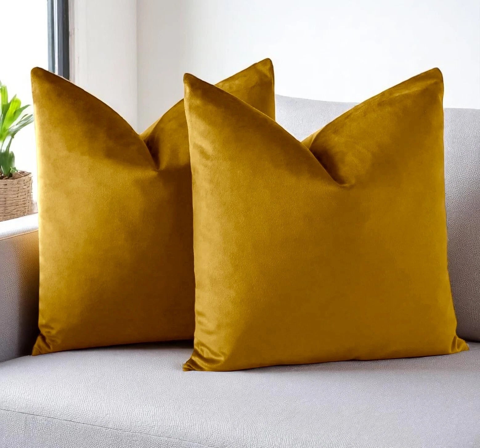 New Velvet Cushion Cover – Decorative Pillowcase for Home or Hotel Pack of 2.