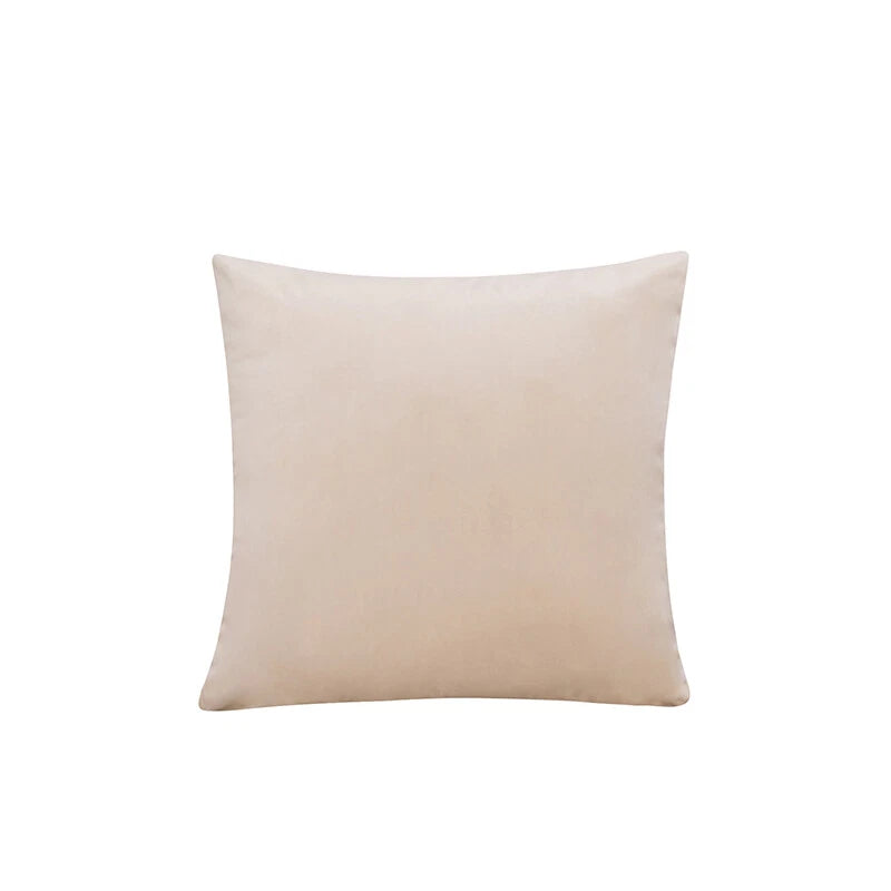 Wholesale Velvet Cushion Cover Pillowcase Pillow Case Sofa Throw Pillows Decor