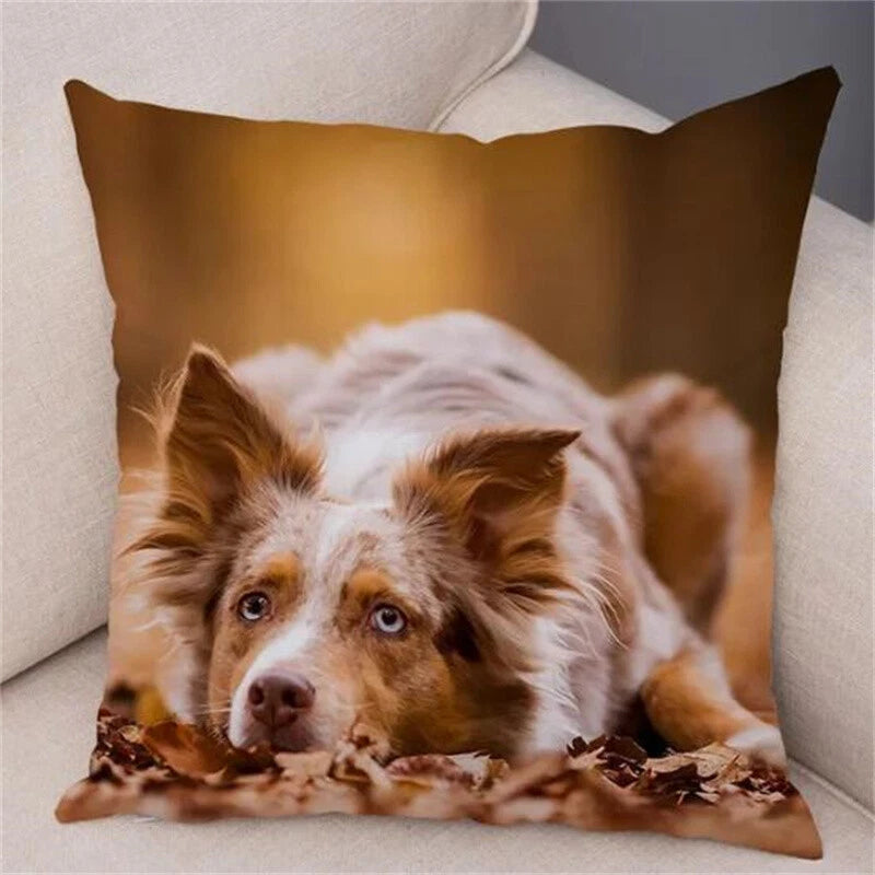 Short Plush Animal Cushion Cover Border Collie Pillowcase for Sofa Car Decor