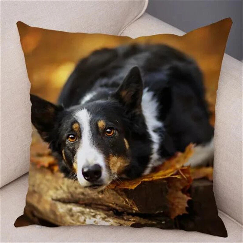 Short Plush Animal Cushion Cover Border Collie Pillowcase for Sofa Car Decor