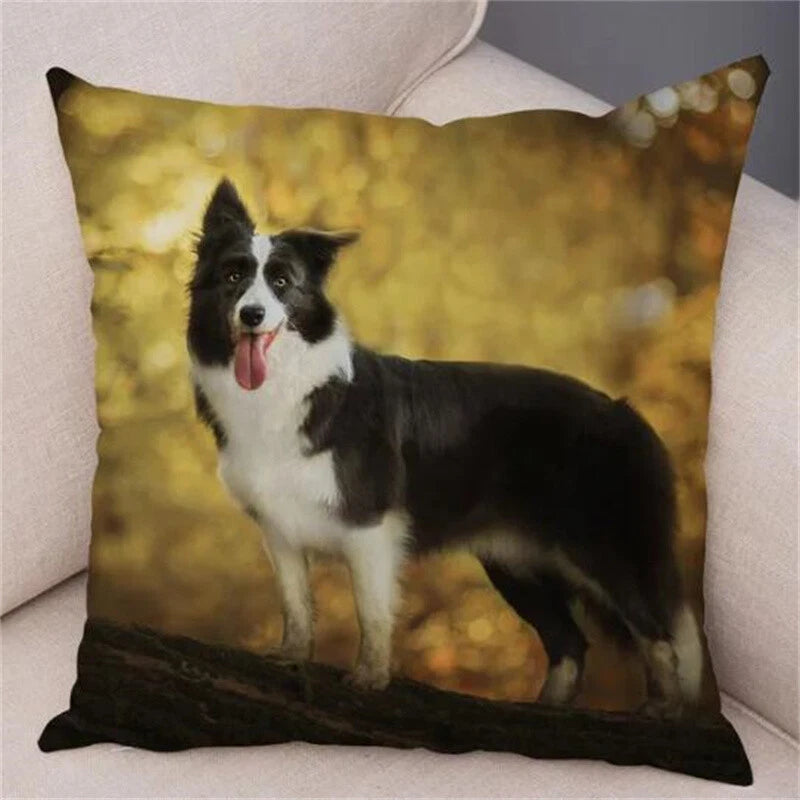 Cute Pet Animal Cushion Cover Border Collie for Sofa Decor Dog Print Pillow Case