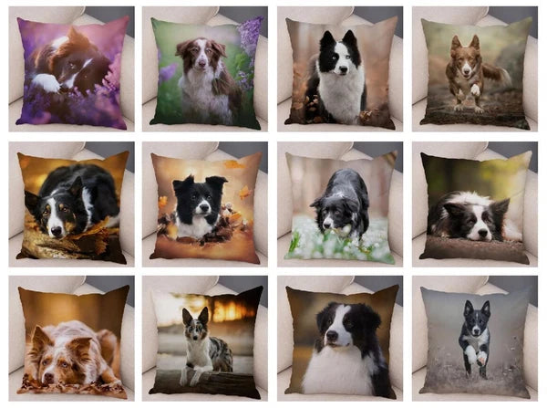 Short Plush Animal Cushion Cover Border Collie Pillowcase for Sofa Car Decor