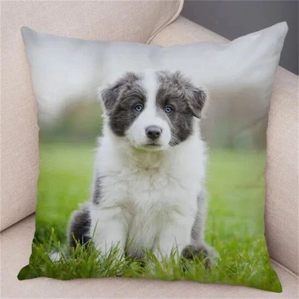 Cute Pet Animal Cushion Cover Collie for Sofa Car Decor Dog Print Pillow Case