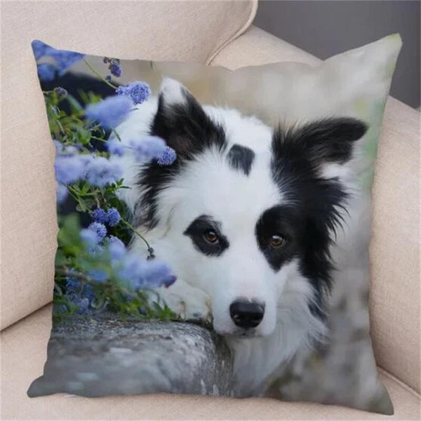 Cute Pet Animal Cushion Cover Border Collie for Sofa Decor Dog Print Pillow Case