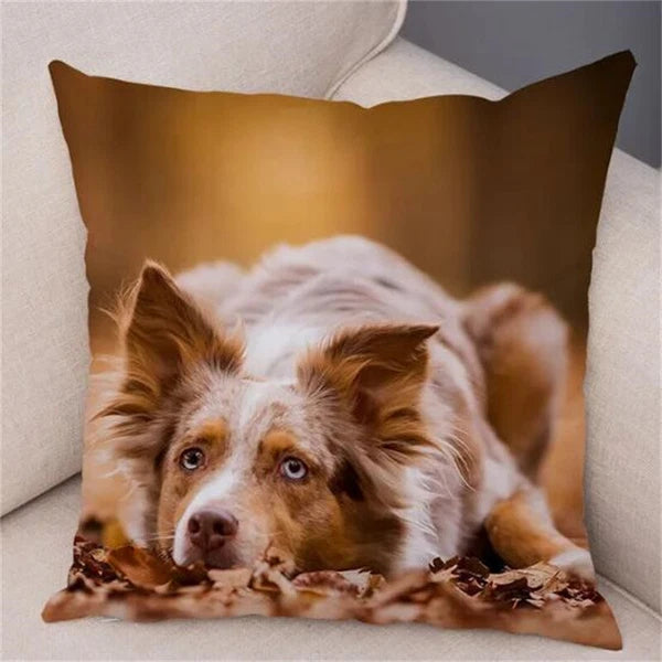 Short Plush Animal Cushion Cover Border Collie Pillowcase for Sofa Car Decor