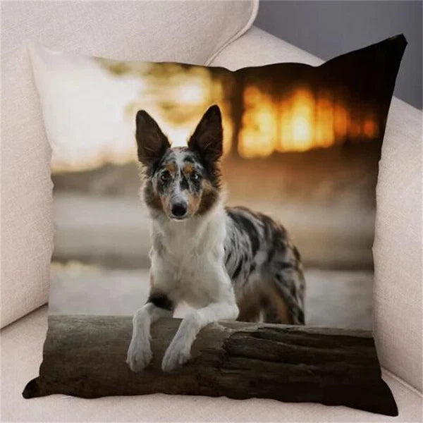 Short Plush Animal Cushion Cover Border Collie Pillowcase for Sofa Car Decor