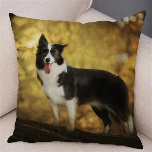 Cute Pet Animal Cushion Cover Border Collie for Sofa Decor Dog Print Pillow Case