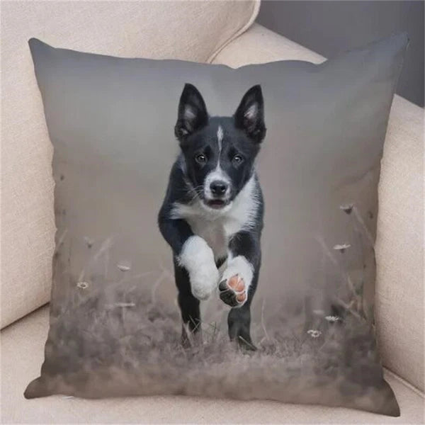 Short Plush Animal Cushion Cover Border Collie Pillowcase for Sofa Car Decor