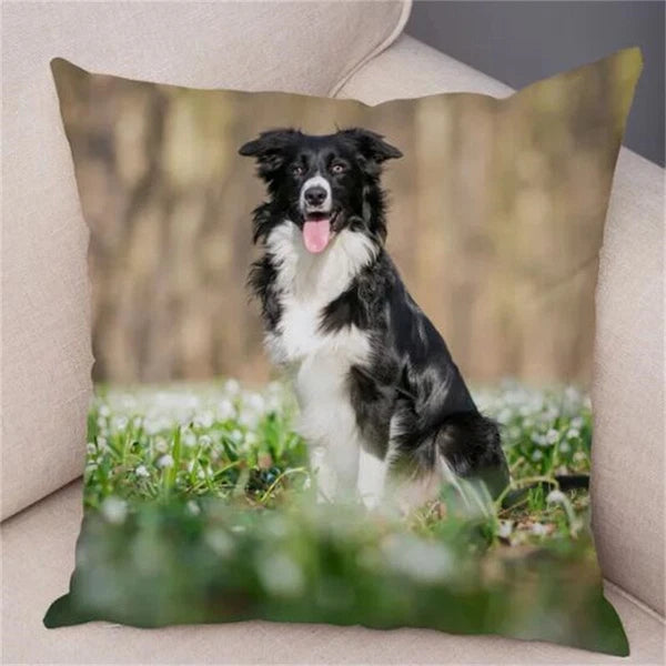 Cute Pet Animal Cushion Cover Border Collie for Sofa Decor Dog Print Pillow Case