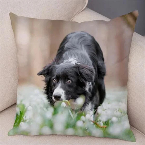 Short Plush Animal Cushion Cover Border Collie Pillowcase for Sofa Car Decor