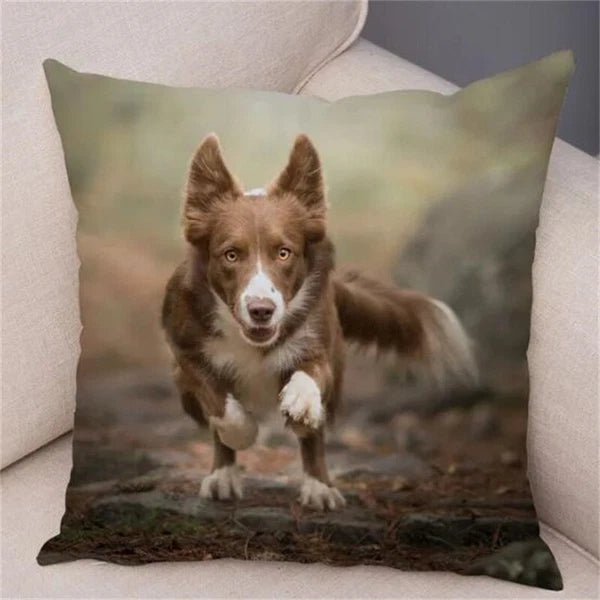 Short Plush Animal Cushion Cover Border Collie Pillowcase for Sofa Car Decor